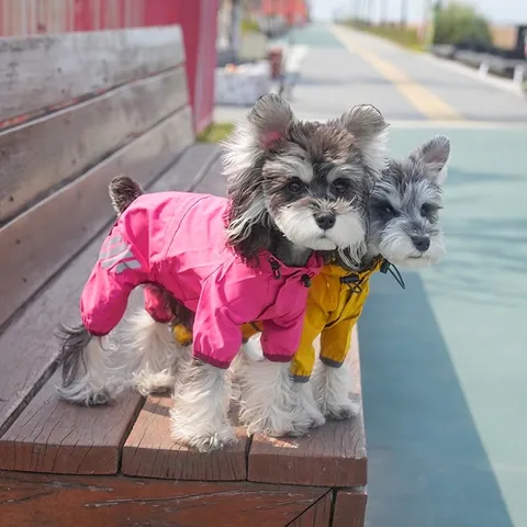 Imperméable Pour Chien À Capuche Avec Bandes Réfléchissantes Veste De Pluie Extérieure En Polyester Pour Petits Moyens Chiens