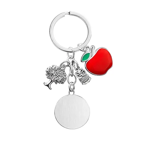 Portachiavi Per Insegnante In Acciaio Inossidabile Con Ciondoli Mela Rossa Gufo Albero Della Vita Regalo Citazione