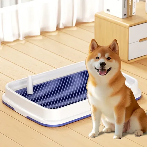 Hundetoilette Für Drinnen Mit Abnehmbarer Säule PP Kunststoff Spritzschutz Training Haustier Töpfchen Halter Welpen