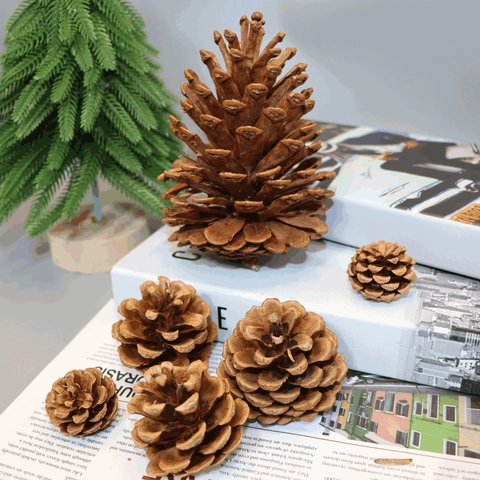 Natural Pine Cones And Simulation Red Berries Christmas Decorations DIY Ornaments Rustic Photography Props Home Decor