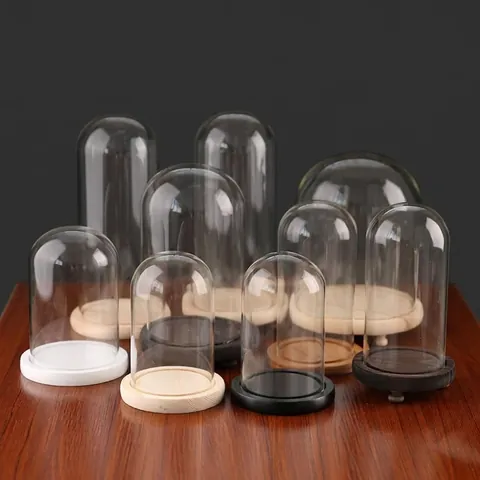 Transparent Glass Dome Cloche With Wooden Base For Preserved Flower Display Dustproof Round Top Jar Ornament Home Decor