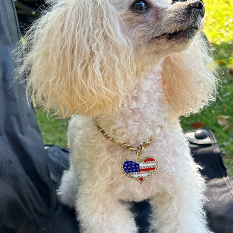 Huisdier Halsketting Goud Cuban Chain Strass Hart USA Vlag Hanger Verstelbare Sieraden Voor Honden Katten
