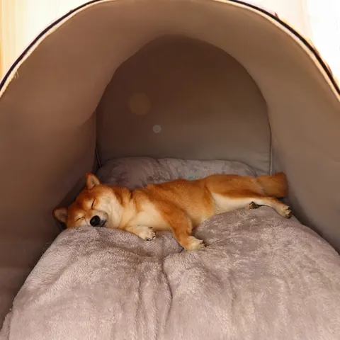 Cama Cálida Para Mascotas Casa Felpa Semicerrada Suave Lavable Patrón Géométrico Tienda De Dormir Interior Perros Gatos