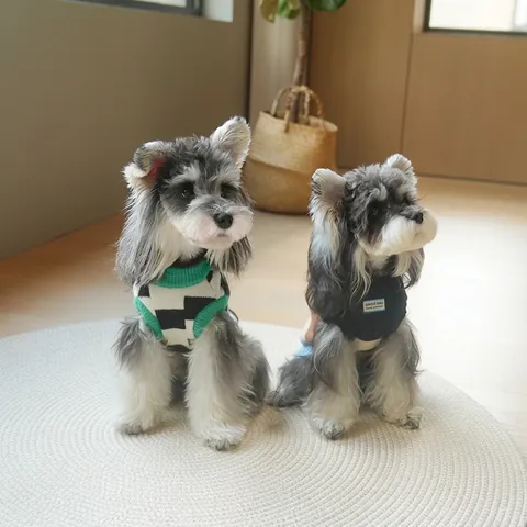 Gilet Maglione In Maglia Per Animali Domestici Motivo A Scacchi Geometrico Vestiti Caldi E Morbidi Per Cani Gatti Cuccioli
