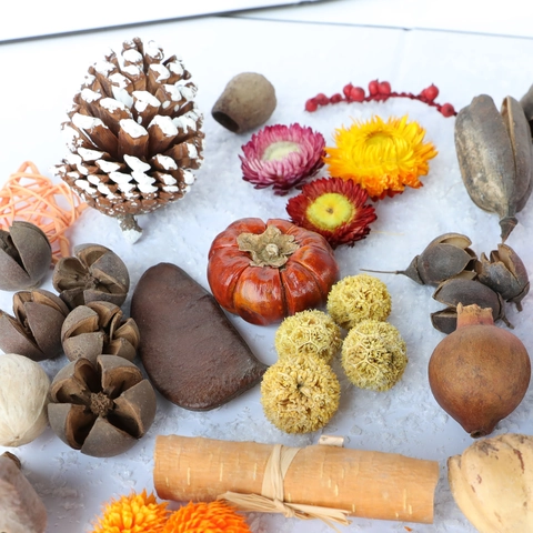 Fiori E Frutti Secchi Naturali Con Pigne Cotone Cannella Per Natale DIY Artigianato Accessori Per Fotografia