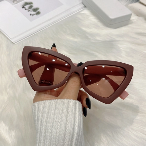 Cat Eye Sunglasses Triangle Geometric PC Frame UV400 Protection Retro Fashion Vintage Eyewear For Women