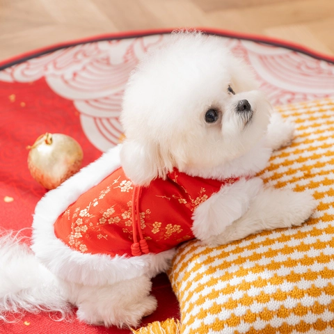 Chinese Style Pet Vest Red Brocade Gold Flower Embroidery Warm Fur Collar Dog Tang Suit With Leash D-Ring For New Year