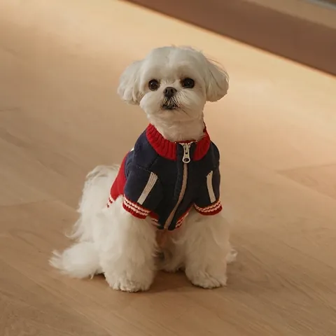 Maglione In Maglia Per Cani Caldi Vestiti Invernale Animali Blocchi Di Colore Cardigan Con Cerniera Per Piccoli Cani Gatti