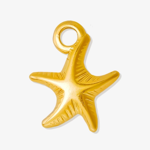Breloques Étoile De Mer Acier Inoxydable 304 Pendentifs Plage Océan Pour Fabrication De Bijoux DIY Collier Bracelet