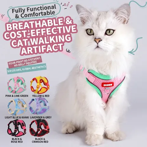 Atmungsaktives Mesh Haustier Geschirr Und Leine Reflektierend Verstellbar Kontrastfarbe Ausbruchsicher Katzen Hunde