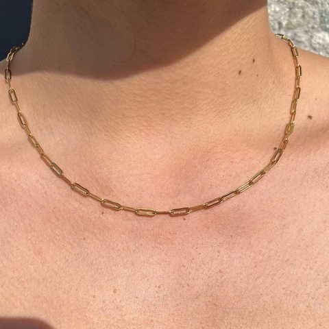 Minimalist Gold Stainless Steel Necklace Chain For Women Trendy Layering Snake Paperclip Twist Style Fashion Jewelry