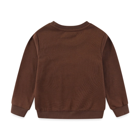Sweat-shirt En Coton Pour Garçons Pull Brodé Dinosaure Col Rond Manches Longues Haut Décontracté Automne