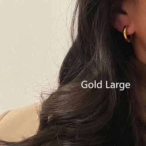 Orecchini A Cerchio Spessi Placcati Oro 18K Acciaio Al Titanio Lucidato Minimalista Geometrico Per Donna Uomo
