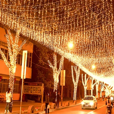 Christmas Lights