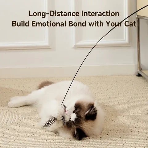 Natural Wood Handle Cat Teaser Wand With Feather Bell Interactive Elastic Spring Steel Wire Cat Toy Replacement Heads Set