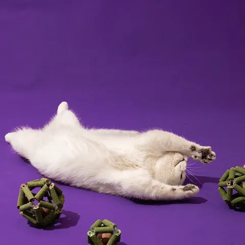 Φυσικό Παιχνίδι Μπάλας Με Μαγιοβότανο Και Silvervine Για Γάτες Καθαρισμός Δοντιών Γεωμετρικό Βότανο Διαδραστικό Παιχνίδι