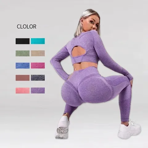 Women Seamless Yoga Workout Clothes Nylon Spandex High Waist Butt Lift Hollow Back Long Sleeve Top And Leggings