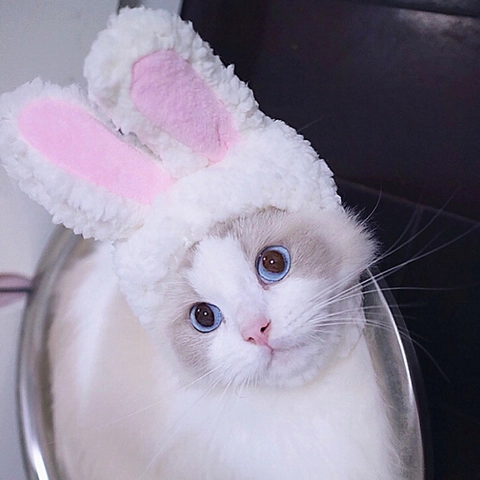 Pet Hat Bunny Ears And Banana Shape Plush Cute Adjustable Headwear For Cats And Small Dogs