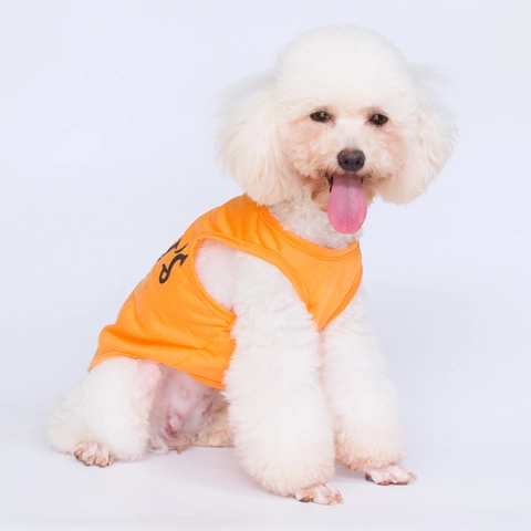Haustier Hundeweste Mommy's Boy Buchstaben Druck Ärmelloses Welpen Tank Top Atmungsaktive Polyester Kleidung Für Hunde Katzen