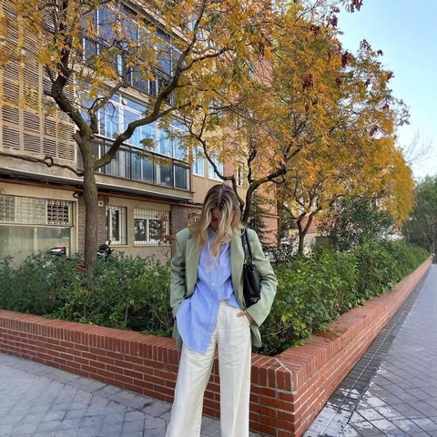 Damen Blazer Mit Kerbrevers Langarm Einreihig Lockerer Schnitt Minzgrün Büro Business Casual Oberbekleidung