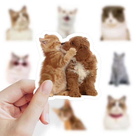 Pegatinas Realistas De Gato Perro Para DIY Decoración Scrapbooking Laptop Botella De Agua Impermeable Lindas Fotos De Mascotas Calcomanías