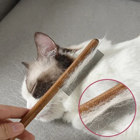 Professioneller Haustierpflegekamm Buchenholzgriff Edelstahlstifte Entfilzungswerkzeug Für Katzen Und Hunde Haarentfernung