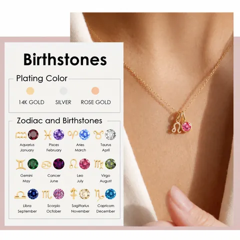 12 Zodiac Sign Birthstone Necklace For Women Stainless Steel Gold Silver Double Pendant Color Rhinestone Symbol Necklaces Jewelry Birthday Gift