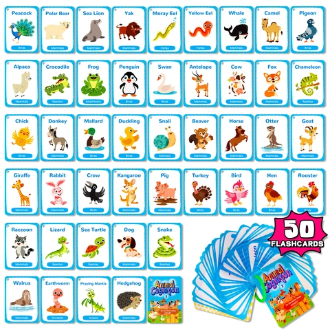 Carte Flash per Cognizione Animale per Bambini Apprendimento Inglese Phonics Educazione Precoce Fronte Retro