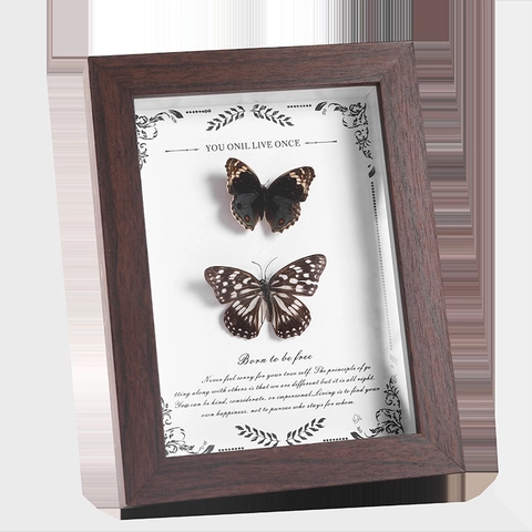 Butterfly Specimen Photo Frame Shadow Box Wood Glass Desktop Decorative Ornament Retro Handmade DIY Natural Insect Exhibit