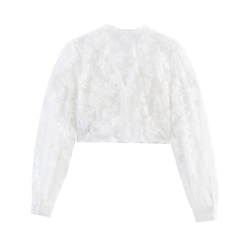 Damen Spitzenbluse V-Ausschnitt Lange Laternenärmel Durchsichtig Mesh Floral Bestickt Kurzes Hemd Weiß Elegant