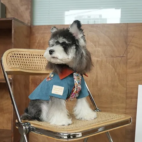 Retro Corduroy Dog Shirt With Tie Vintage Cartoon Bear Pattern Pet Clothes For Small Medium Dogs Fall Winter Outfit