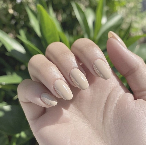 Glossy Solid Color Press On Nails Detachable Artificial False Nail Tips For Women Daily Manicure Elegant Minimalist