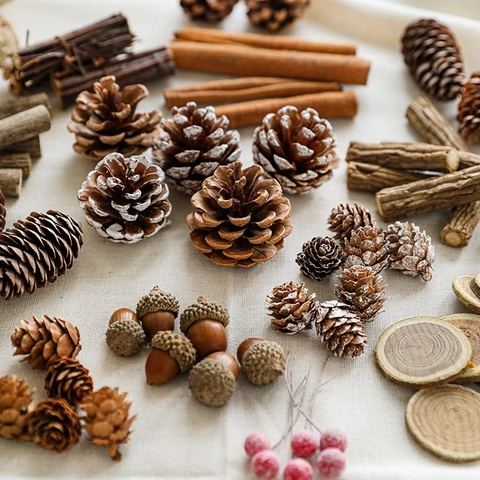 Natural Pinecones Cinnamon Bark Wood Rounds For DIY Christmas Craft Decoration Rustic Nordic Photography Props