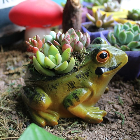 Frog Shaped Flower Pot Resin Succulent Planter Cute Animal Statue Garden Balcony Decoration Home Ornament Pastoral Style