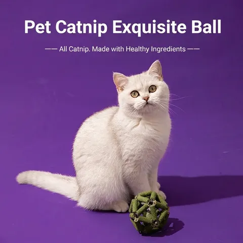Φυσική Μπάλα Catnip Παιχνίδι Κοίλη Γεωμετρική Σφαίρα Με Ράβδους Silvervine Για Γάτες Καθαρισμός Δοντιών Διαδραστικό