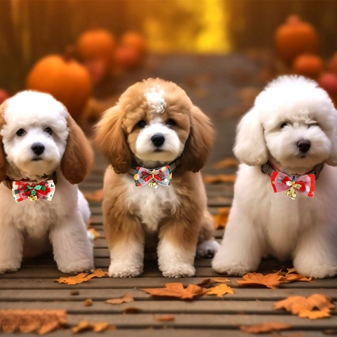 Weihnachten Haustierfliege Verstellbare Polyester Halsband Mit Glocken Weihnachtsmann Rentier Muster Für Katzen Hunde Deko