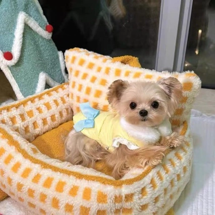 Polyester Haustier Winter Warme Weste Gesteppt Kleine Hund Katze Kleidung Prinzessin Bogen Spitze Dekor Kunstpelzkragen D-Ring