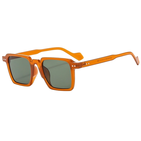 Occhiali Da Sole Quadrati Vintage Donna Uomo Moda Rivetto Montatura In Plastica UV400 Protezione Classica
