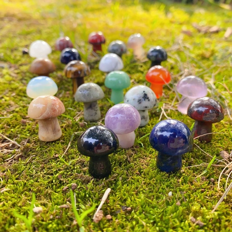 Statues De Mini Champignon Pierre Naturelle Cristal Quartz Agate Pierres De Guérison Polies Décor De Jardin Bricolage
