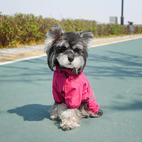 Dog Raincoat Waterproof Full Body Coverage Hooded Reflective Strip Polyester Outdoor Pet Rainwear Apparel Jacket Adjustable