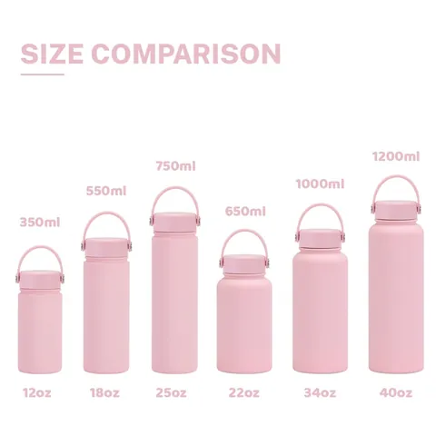 Stainless Steel Vacuum Insulated Water Bottle Portable Sports Flask With Handle Matte Finish Leakproof Outdoor Travel