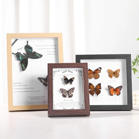 Butterfly Specimen Photo Frame Shadow Box Wood Glass Desktop Decorative Ornament Retro Handmade DIY Natural Insect Exhibit