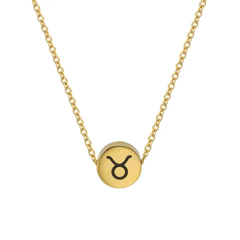 Collana in Acciaio Inossidabile Oro 12 Segni Zodiacali Pendente Tondo per Donna Gioielli di Moda Minimalista Regalo Oroscopo