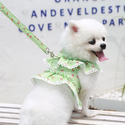 Pet Harness And Leash Floral Lace Mesh Breathable Vest For Small Dogs Cats Princess Style Outdoor Walking Accessories