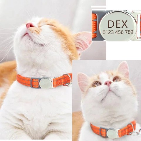 Collare Riflettente Per Gatti Nylon Fibbia Di Sicurezza Con Campanello Cinturino Regolabile Per Gattini E Cuccioli