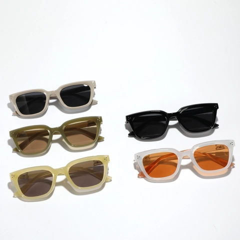 Retro Square Sunglasses Vintage Cat Eye UV Protection PC Frame AC Lens Trendy Rivet Detail Eyewear For Women Men