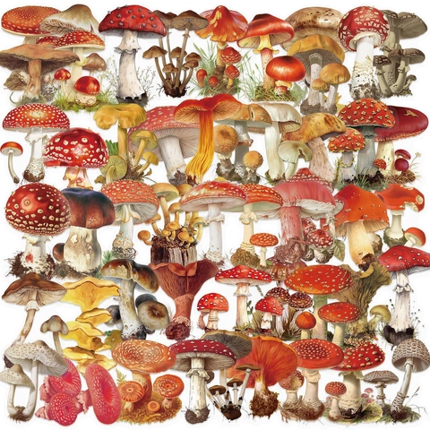 Vintage Mushroom Stickers Waterproof PET Decals For Scrapbooking Laptop Guitar Phone Case Botanical Illustration Decoration