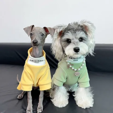 Dog Jumpsuit Cotton Knit Warm Autumn Winter Four Legged Pet Clothes Contrast Turtle Neck Letter Print Casual Fashion