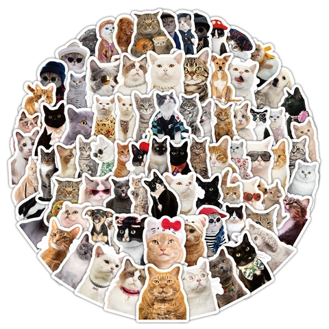 Pegatinas Realistas De Gato Perro Para DIY Decoración Scrapbooking Laptop Botella De Agua Impermeable Lindas Fotos De Mascotas Calcomanías