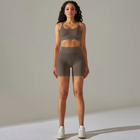Women Seamless Yoga Outfit Ribbed Sports Bra And High Waist Tummy Control Shorts Cross Back Workout Gym Fitness Activewear